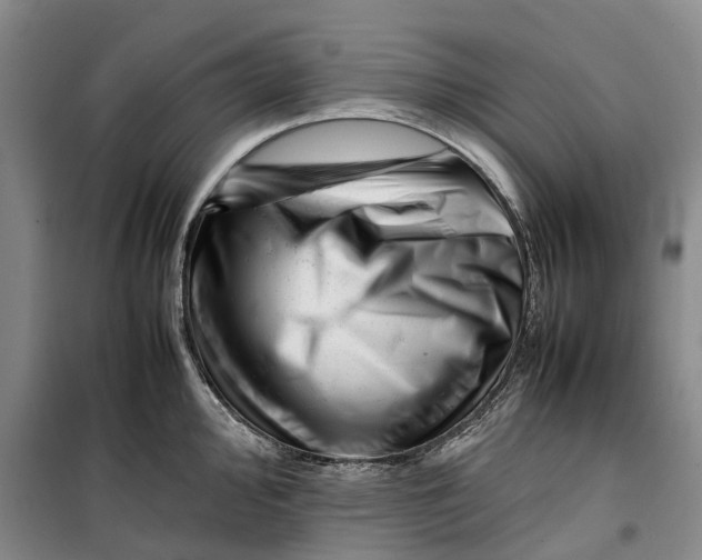 X0000099461000200805301530