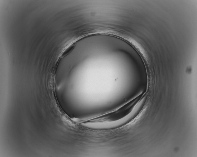 X0000099461001200805301530