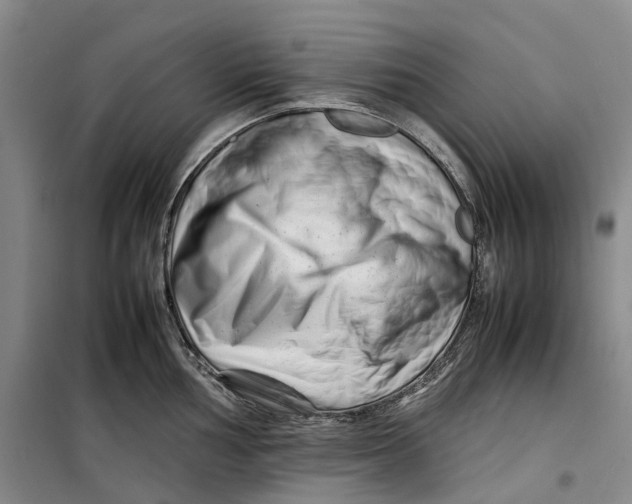 X0000099461002200805301530