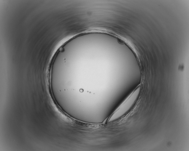 X0000099461003200805301530