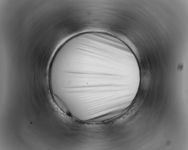 X0000099461004200805301530