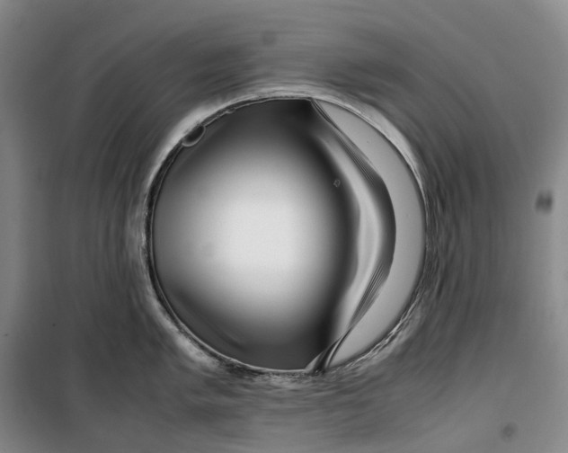 X0000099461005200805301530