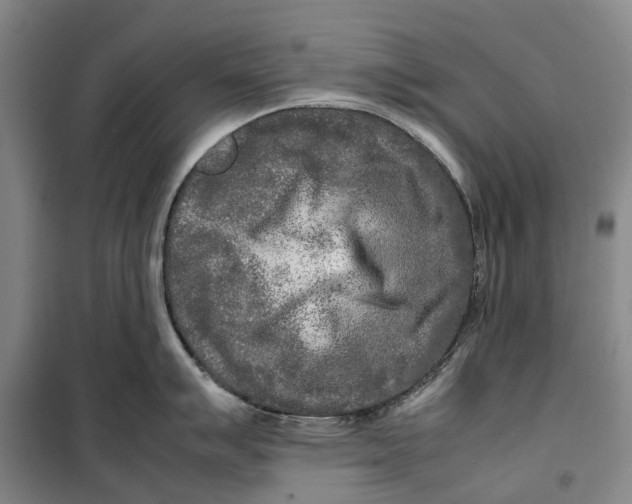 X0000099461007200805301530