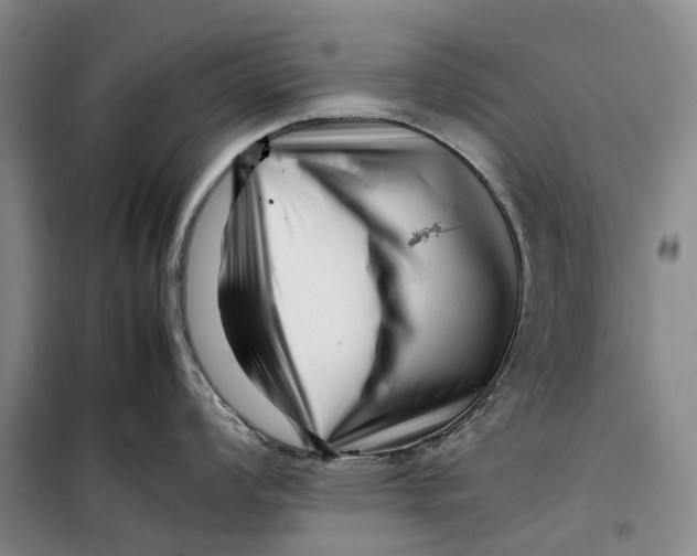 X0000099461008200805301530