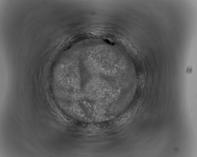 X0000099461009200805301530