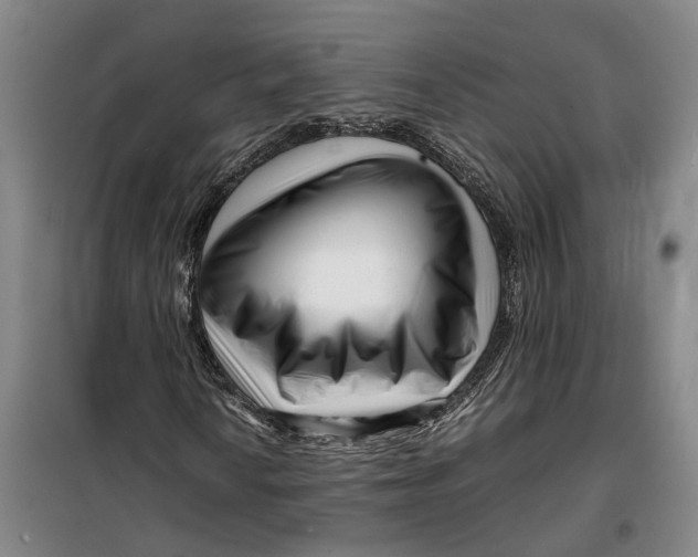 X0000099461010200805301530