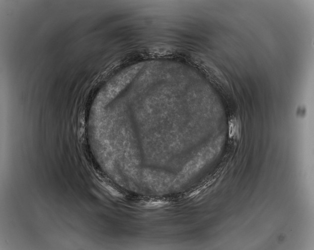 X0000099461011200805301530