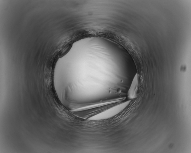 X0000099461012200805301530