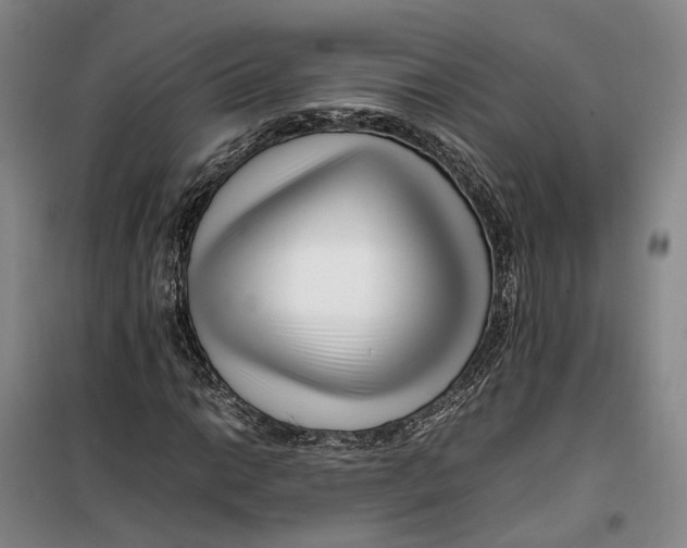 X0000099461014200805301530