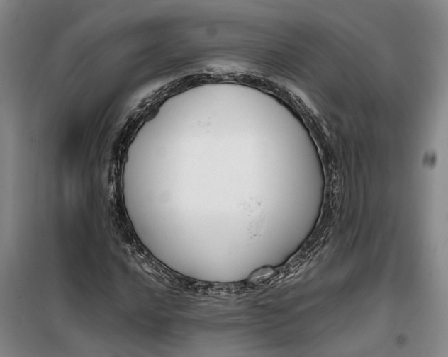 X0000099461016200805301530