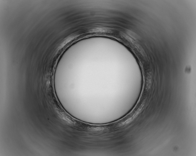 X0000099461017200805301530