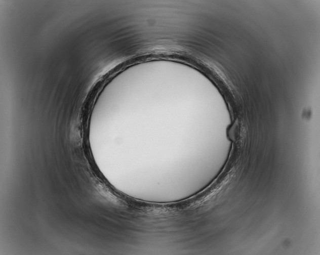 X0000099461018200805301530