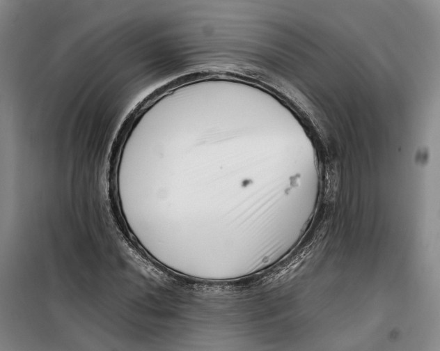 X0000099461020200805301530