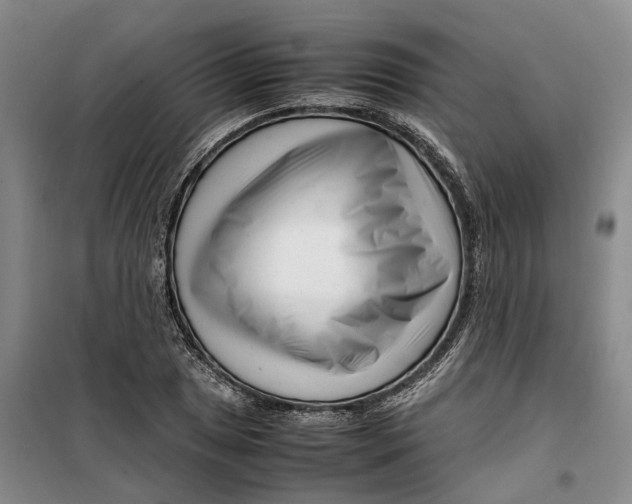 X0000099461025200805301530