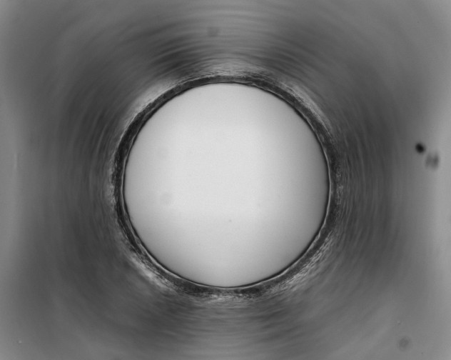 X0000099461026200805301530