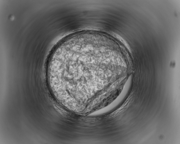 X0000099461027200805301530