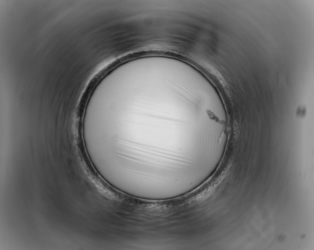 X0000099461029200805301530