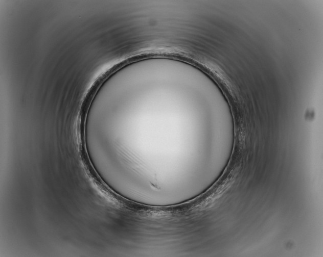 X0000099461030200805301530