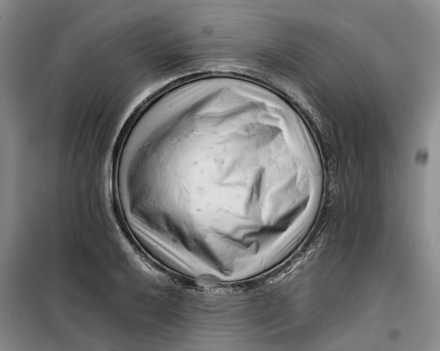 X0000099461032200805301530