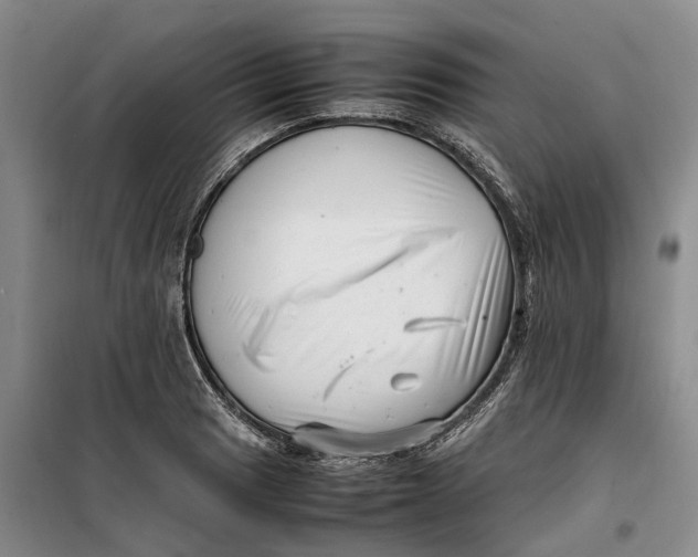 X0000099461033200805301530