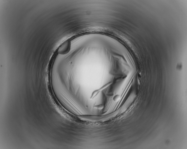 X0000099461034200805301530