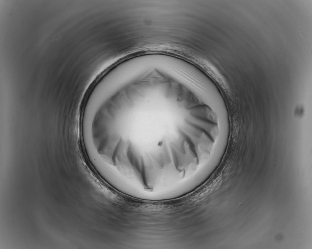 X0000099461036200805301530