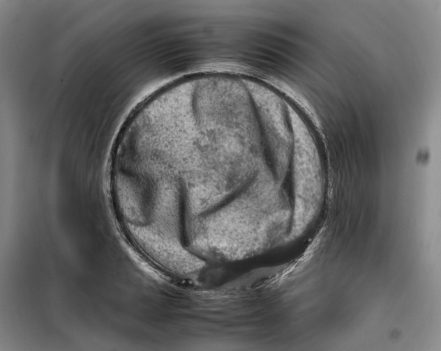 X0000099461037200805301530