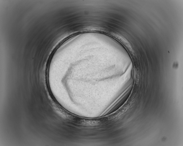 X0000099461039200805301530