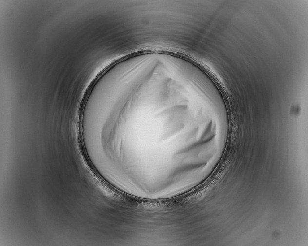 X0000099461040200805301530