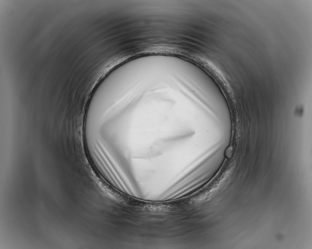 X0000099461041200805301530