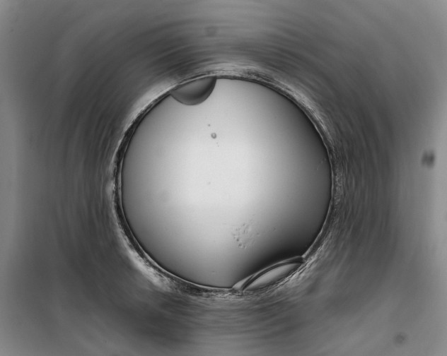 X0000099461042200805301530