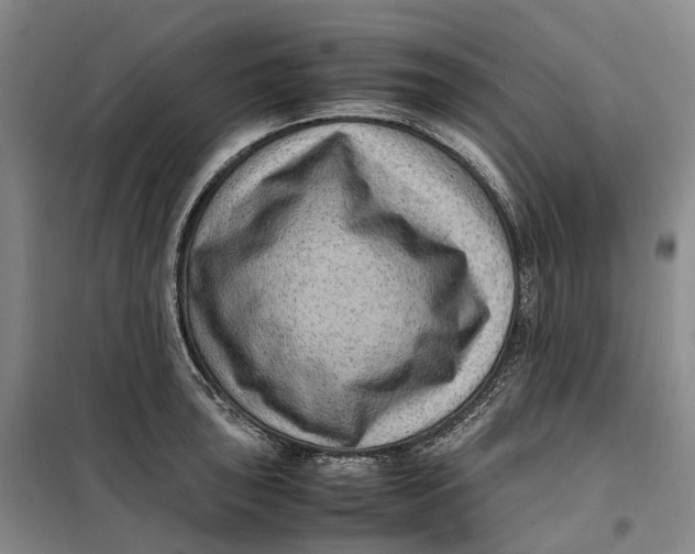 X0000099461043200805301530