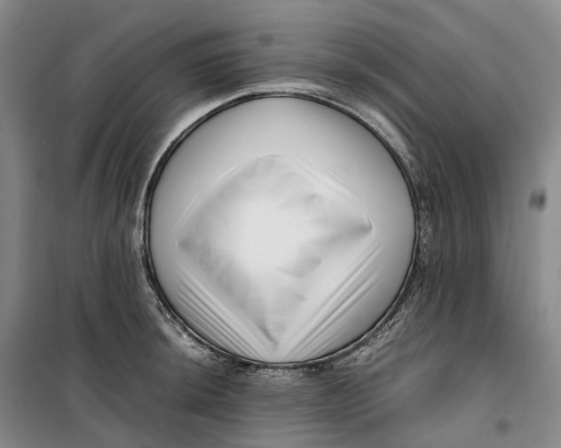 X0000099461044200805301530