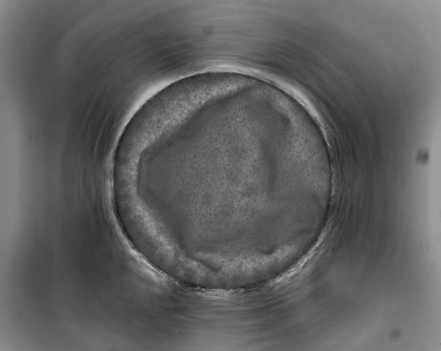 X0000099461048200805301530