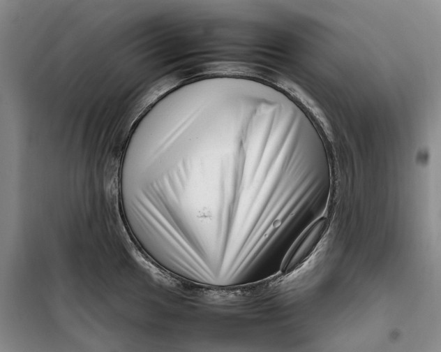 X0000099461049200805301530