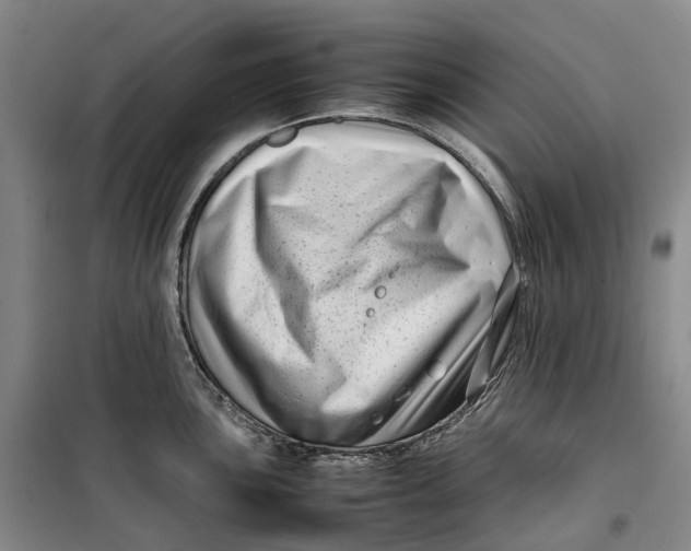 X0000099461051200805301530