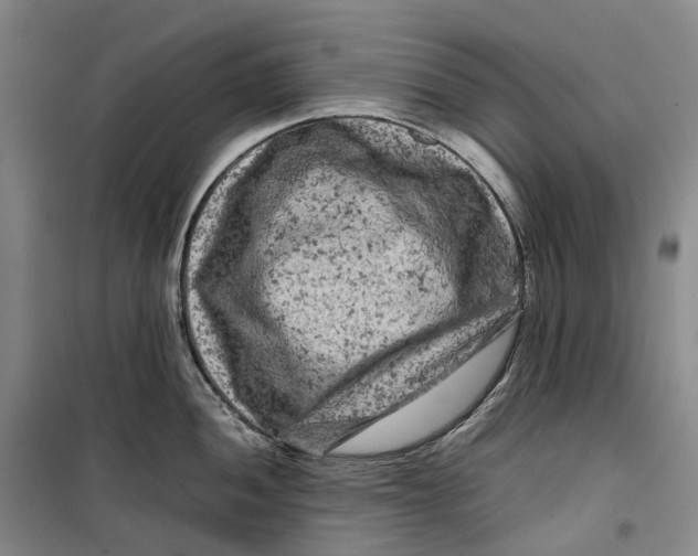 X0000099461052200805301530