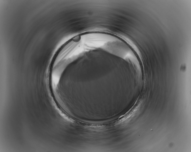 X0000099461053200805301530