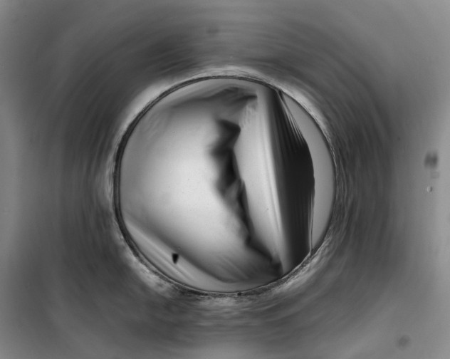 X0000099461054200805301530