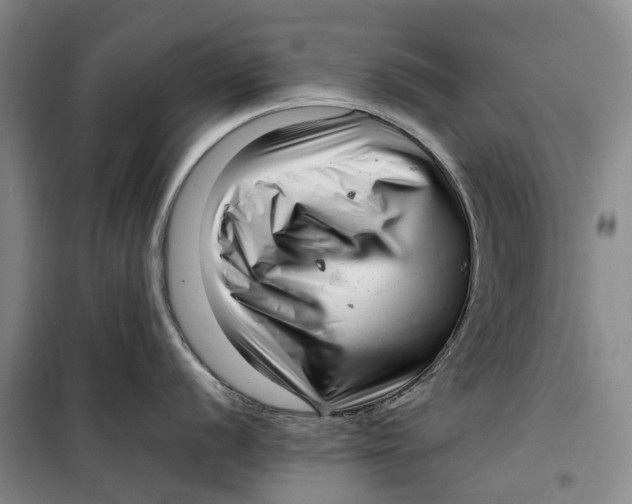 X0000099461056200805301530