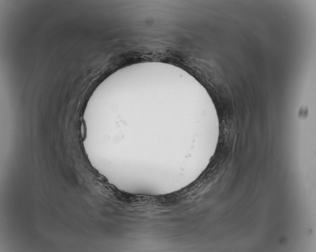 X0000099461057200805301530