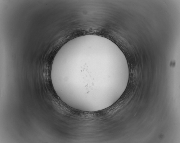 X0000099461058200805301530