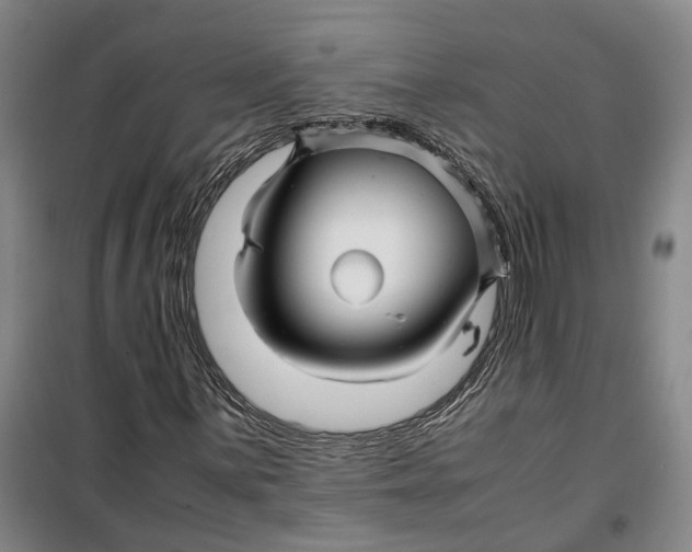 X0000099461059200805301530