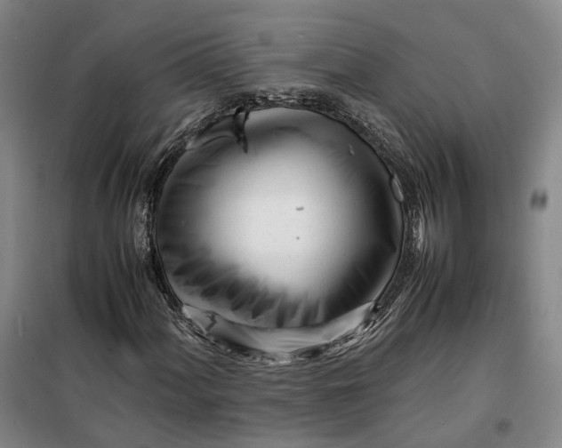 X0000099461060200805301530