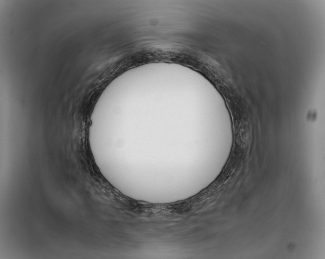 X0000099461061200805301530