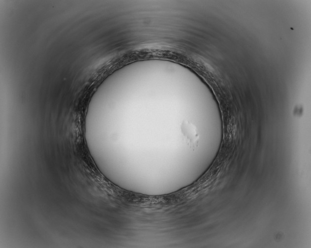 X0000099461062200805301530