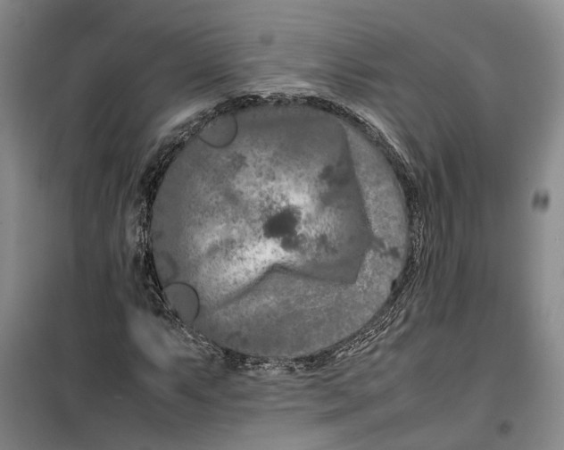 X0000099461063200805301530