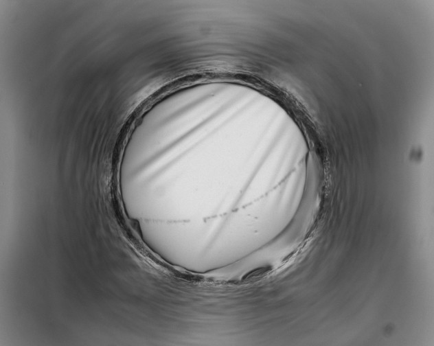 X0000099461065200805301529