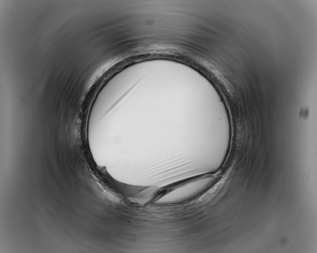 X0000099461066200805301529