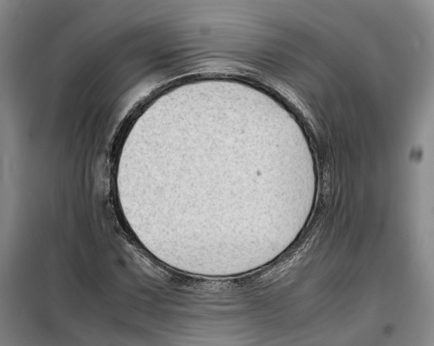 X0000099461067200805301529